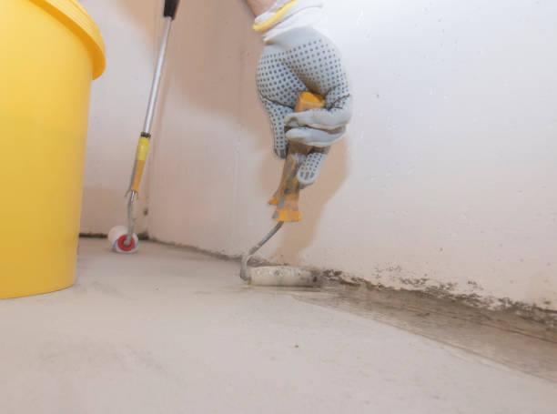 Best Residential Pest Control  in Holly, MI